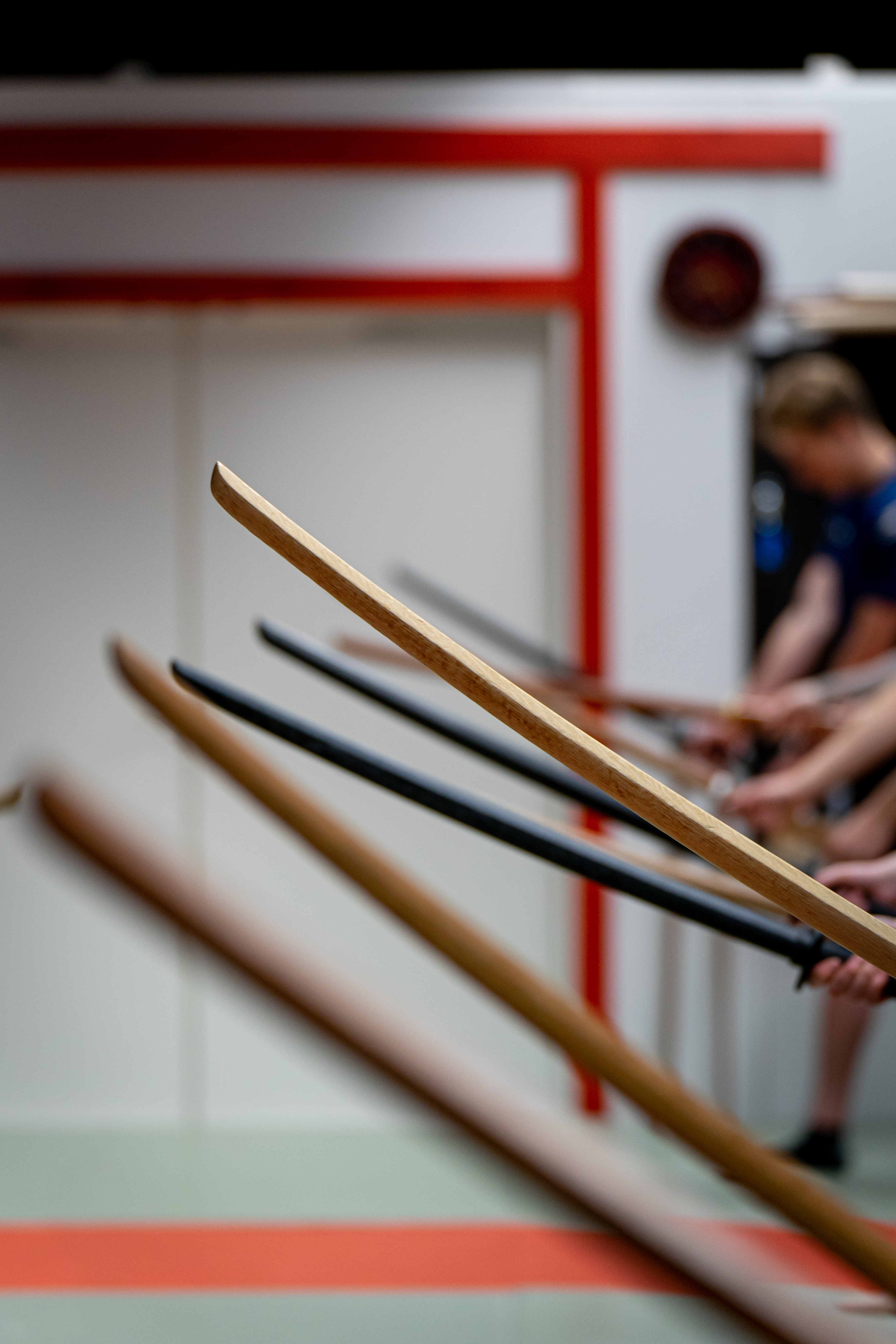 Kenjutsu Katana leikkaus